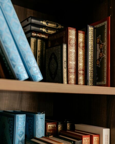 Books-on-Brown- Wooden-Shelves